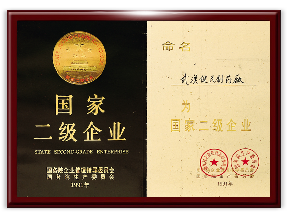 1991年国家二级企业