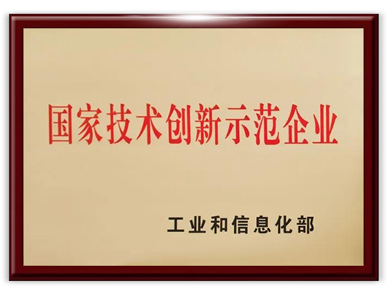 国家技术创新示范企业