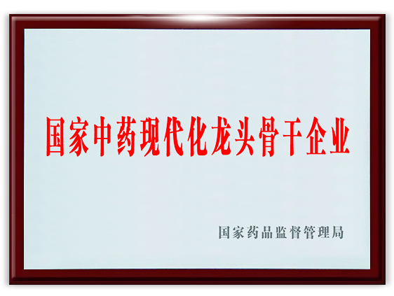 国家中药现代化龙头骨干企业