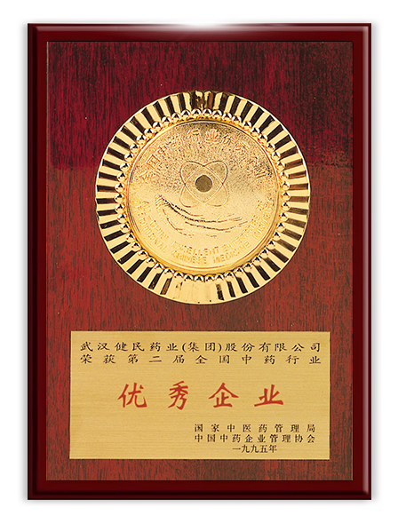 第二届全国中药行业优秀企业