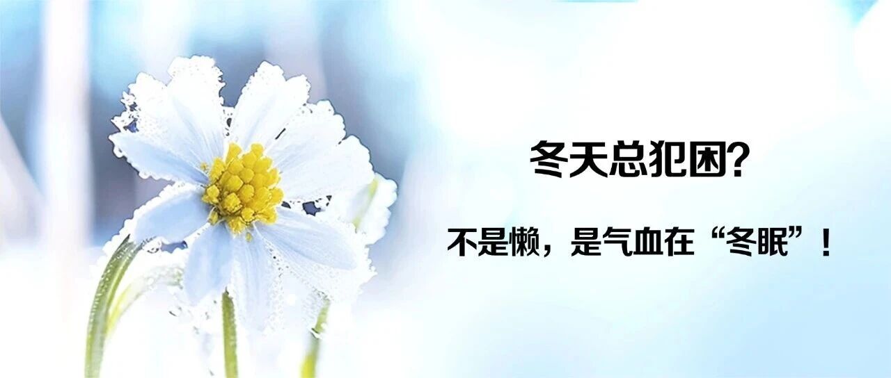 冬天总犯困？不是懒，是气血在“冬眠”！